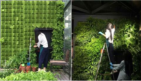 Sac de Culture Vertical – Jardin Suspendu à Poches Multiples